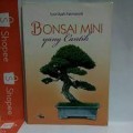 Bonsai Mini Yang Cantik