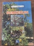 Ayo Berkebun
