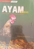 Beternak Ayam Buras