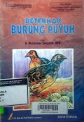 Beternak Burung Puyuh