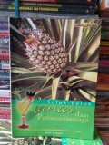 Seluk-Beluk nanas dan Penanamannya