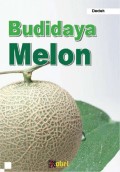 Budidaya Melon