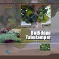 Budidaya Tabulampot: Buah-buahan tanaman Keras