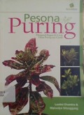 Pesona Puring